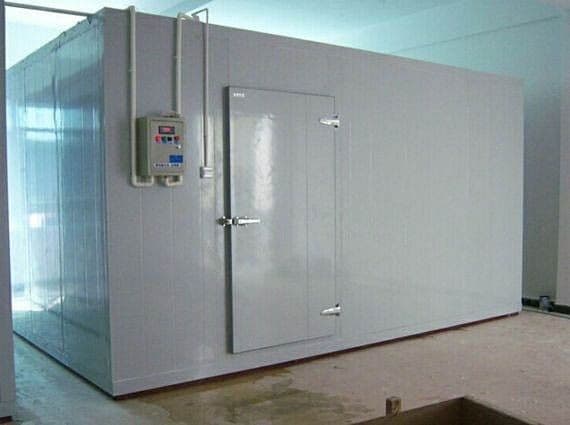 التخزين المبرد